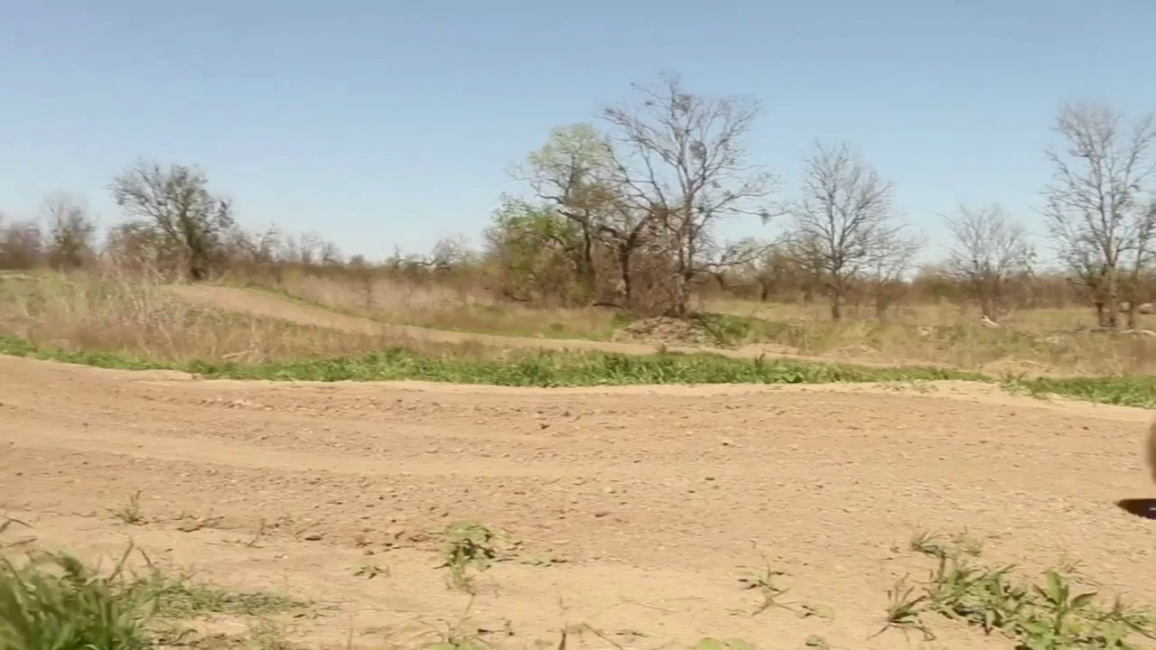 RADventures. BREAKING THE MOLD