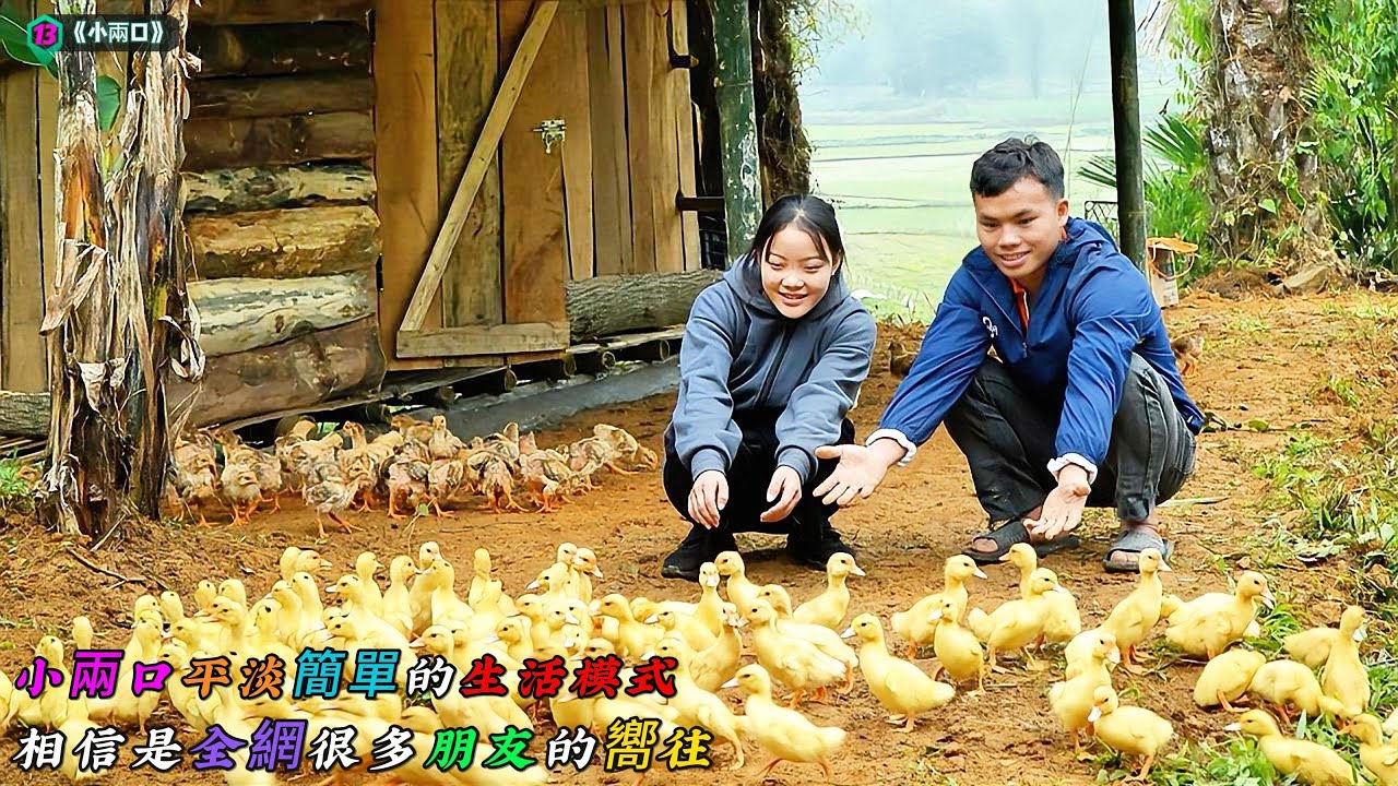 小兩口平淡簡單的生活模式，相信是全網很多朋友的嚮往《小兩口》13