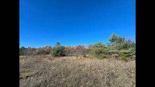 V/L PAR B Chestnut Court PARCEL B, Gaylord, MI - 201837837