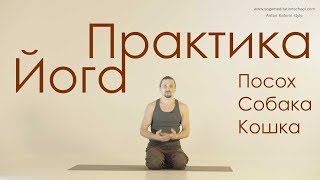 Силовые упражнения Йоги. Практика. Урок 1 Силовые упражнения Йоги. Практика. Урок 1