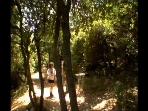 טיפ טיול בשמורת טבע הר מירון