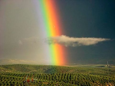 Веселая радуга (картинки) rainbow, قوس قزح, arco iris - YouTube
