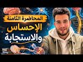 المحاضرة الثامنة الدرس الرابع شرح الإحساس والاستجابة علوم متكاملة 2026