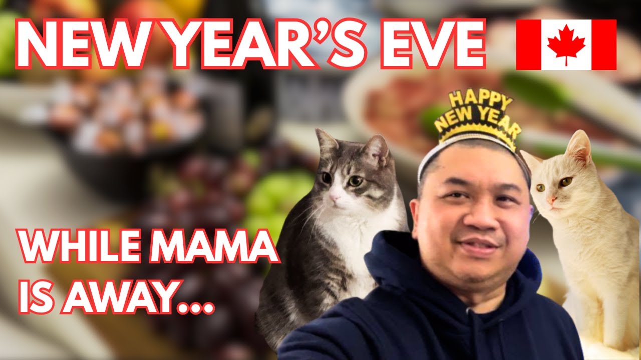 New Year's Eve with friends | Fur Daddy duties at home with Coco & Oreo | Life in Moncton, NB Canada