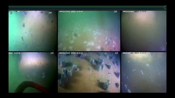 Video recording of Hull-cleaning robot