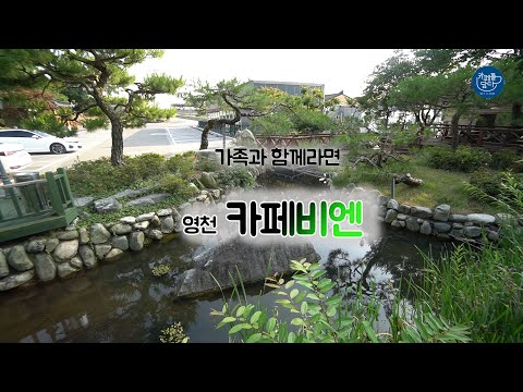 카페비엔