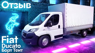 Отзыв: FIAT DUCATO с тентованной бортовой платформой 🚛