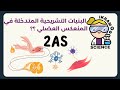 العناصر التشريحية المتدخلة في المنعكس العضلي مراجعة للإمتحان رسومات خرائط ذهنية