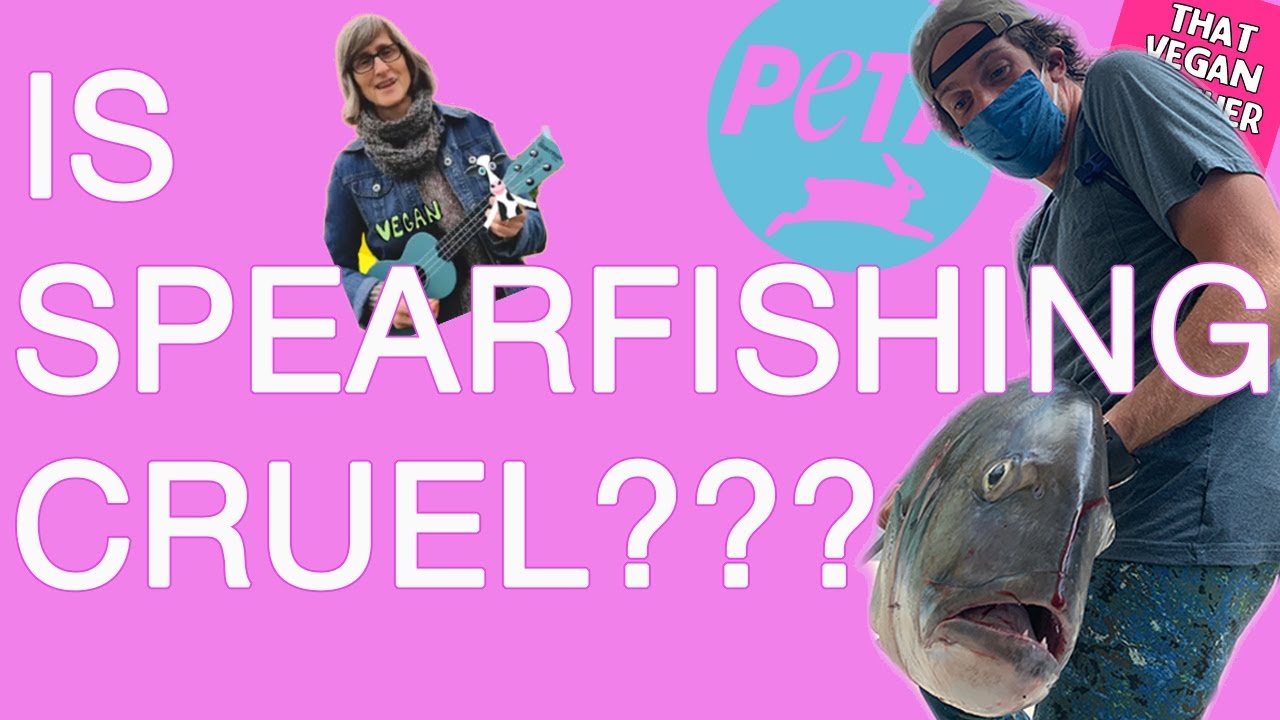 the ethics of spearfishing (a quick overview) YouTube