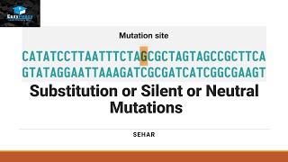 Substitution or Silent or Neutral Mutations