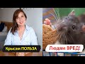 ГОЛОДАНИЕ 16/8 для ОМОЛОЖЕНИЯ. Что говорит НАУКА? Профессор Вайсерман.