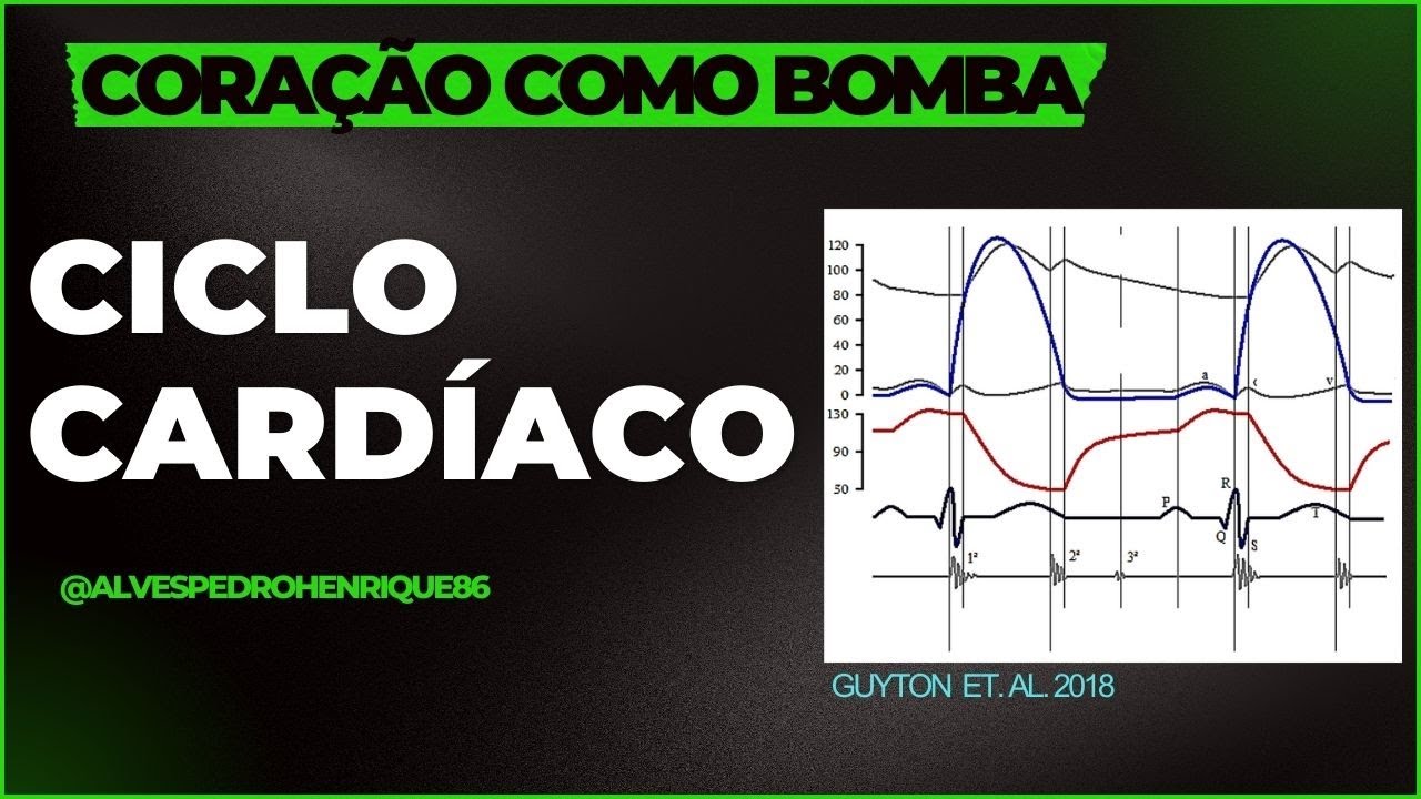 07   Ciclo Cardíaco