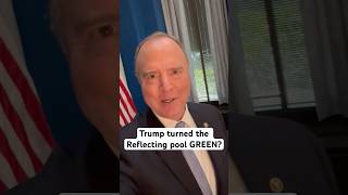 When you only have concepts of a plan you spend $14 million to turn the Reflecting pool green.