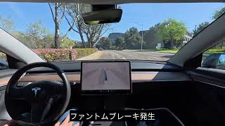FSD phantom braking and screen freeze