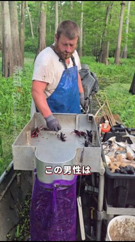アメリカ式ザリガニ漁