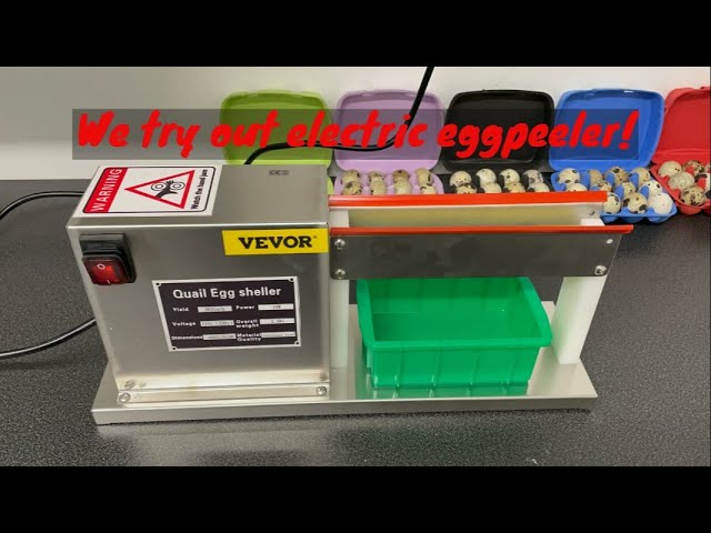  JIAWANSHUN Electric Quail Egg Peeler Machine Semi