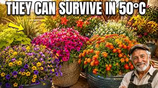 20 Longest-Lasting Container Plants That Refuse to Die Even in Extreme Heat