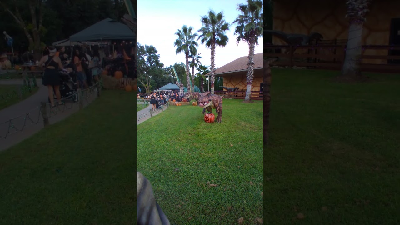 2026 Juvenile T-Rex Dinosaur Statue Dinosaur World Florida