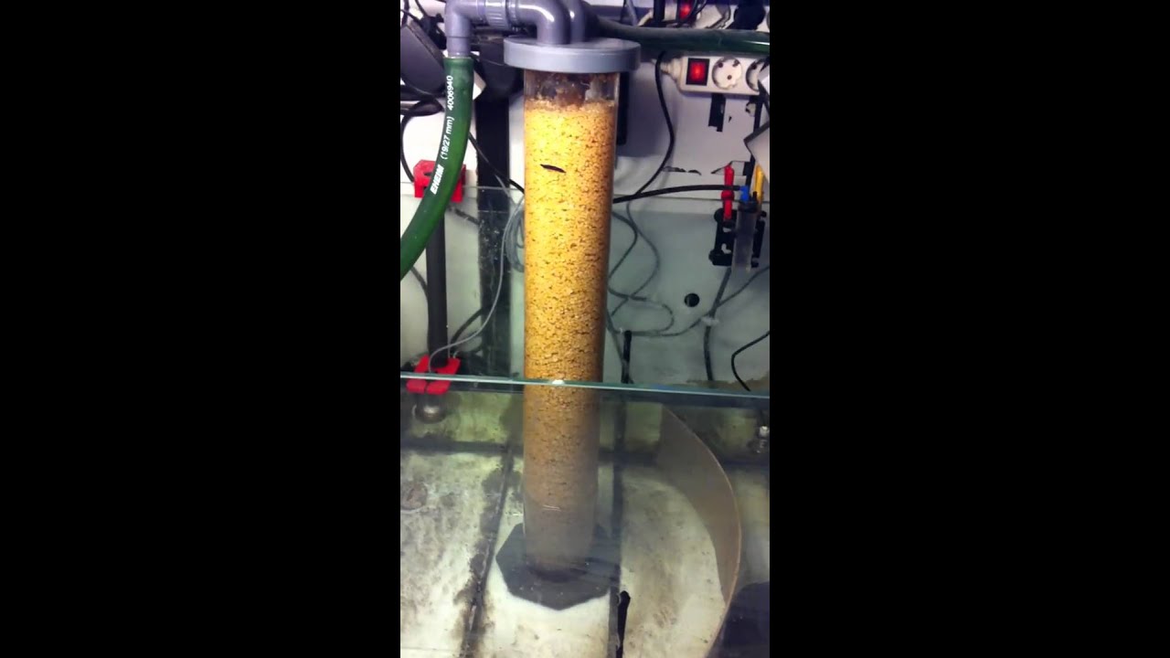 NP reducing Biopellets - sump