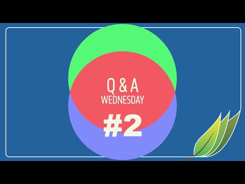 Q & A Wednesday #2