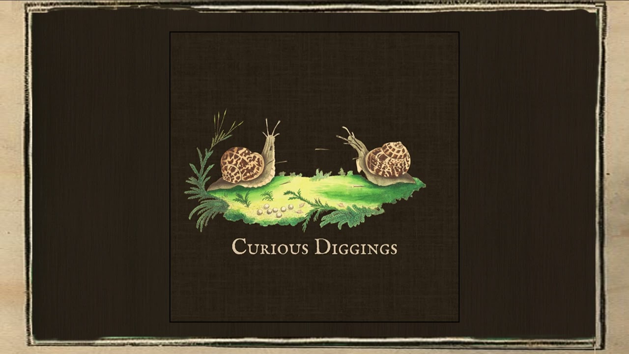 Shire Oak - Curious Diggings (2023)