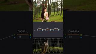 Canon Log2 Color Grading Davinci Resolve