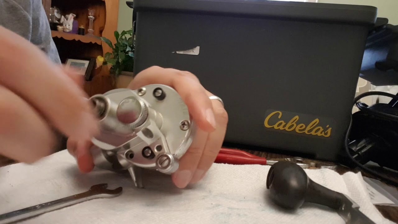 Avet Sx 6/4 MC bearing replacement tear down and rebuild YouTube