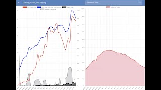Celebrity Viz Responsibly: Demystifying COVID-19 Models Net Worth
