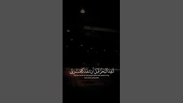 قران كريم بصوت جميل جدا جدا جدا #قران_كريم #ارح_قلبك #راحة_نفسية