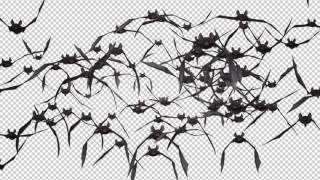 Bat Swarm - Flying Cycle - Front Screen - IV Motion Graphics