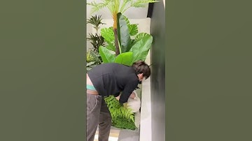 Tiểu cảnh cây xanh giả chân cầu thang  #news #plants #caydecor #home #homedecor #câygiả #decor