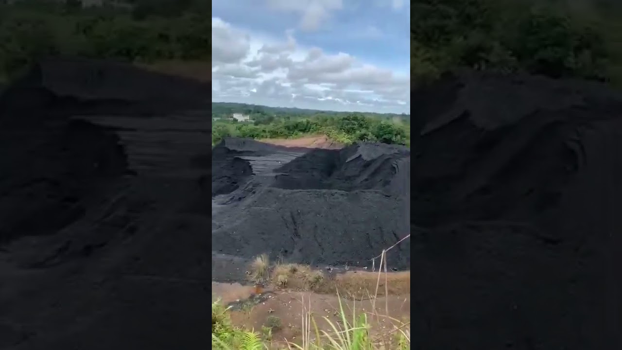 coal buyer and seller group   3