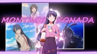 Mai Sakurajima - Montagem Xonada Editamv