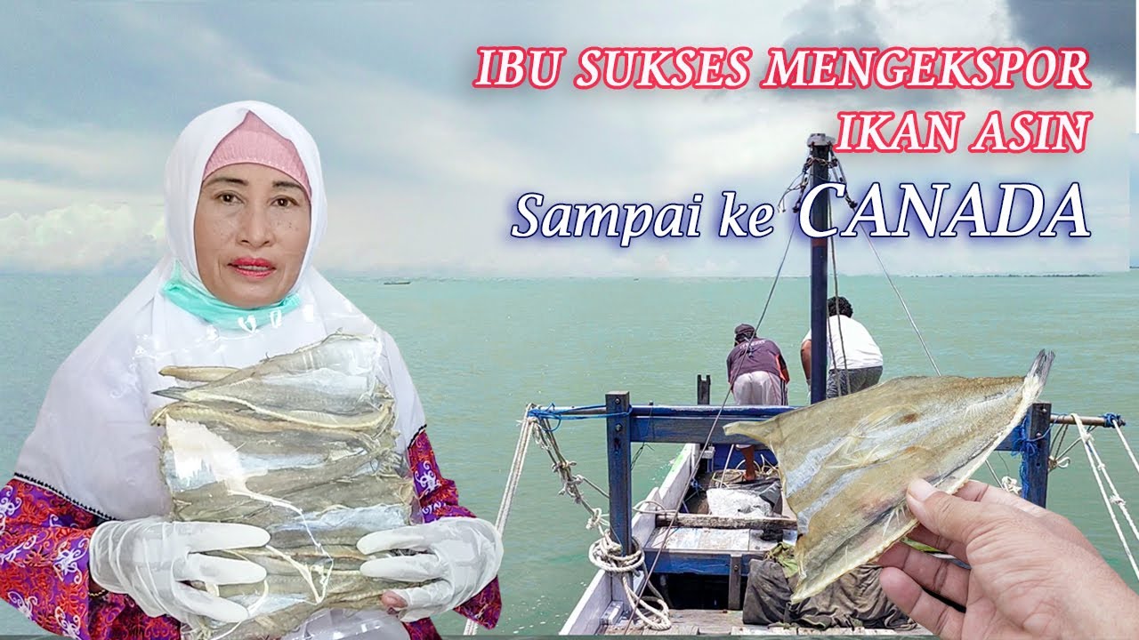 Lihat Proses Pembuatan Ikan Asin Kualitas Exspor