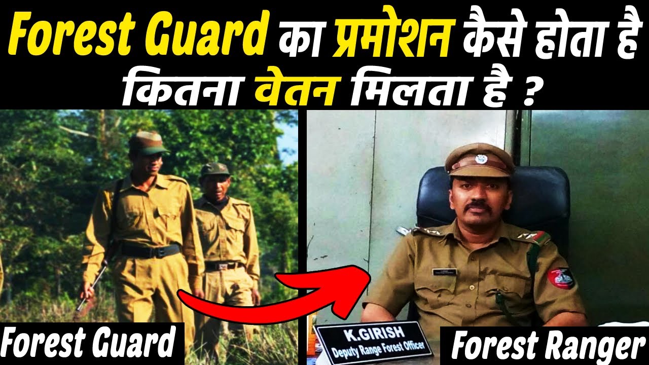 Forest Guard ka promotion kaise hota hai | Forest Guard Promotion Details 