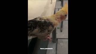 ... Insert A Very Cool Text Here