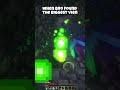 minecarft biggest daimond vein