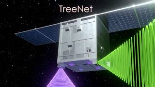 Leaf Space | 3D video