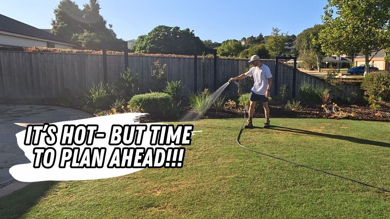 Пережили лето и готовимся к осеннему уходу за газоном!!