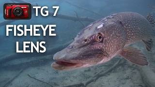 Continue Fisheye Lens testing OM System Tough TG 7