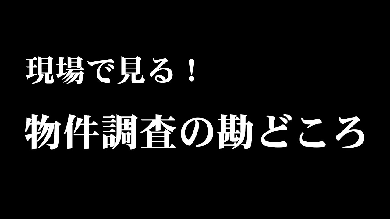 2項道路の調査（中心が確定している場合）