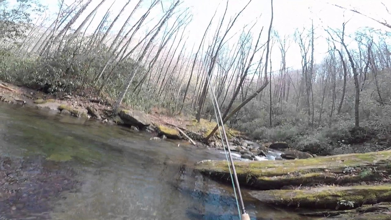 Curtis Creek YouTube