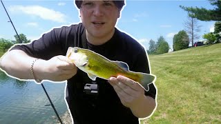 URBAN BASS FISHING: Finding UNKNOWN warehouse ponds!