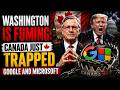 Washington Is Fuming Canada Just Trapped Google And Microsoft 