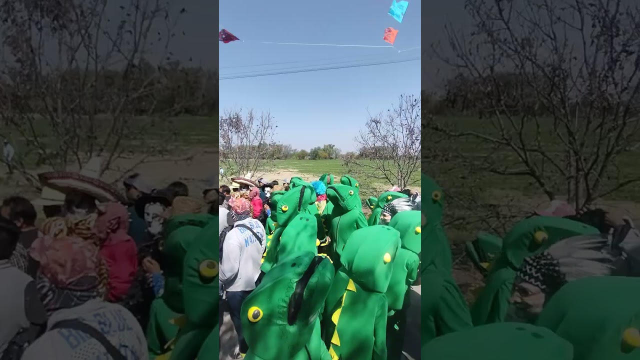 Banda La Imponente de Oaxaca/Carnaval San Antonio Tecozautla Hidalgo