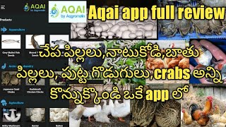 aqai app full review fish Seed | poultry chiks | Ducklings  | crab farming | mushroom farming screenshot 3