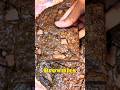 Fudge Brownie Recipe 🍫🩷 #recipe #fudgebrownie #viral #baking #bakingrecipes #chocolatebrownie #fyp