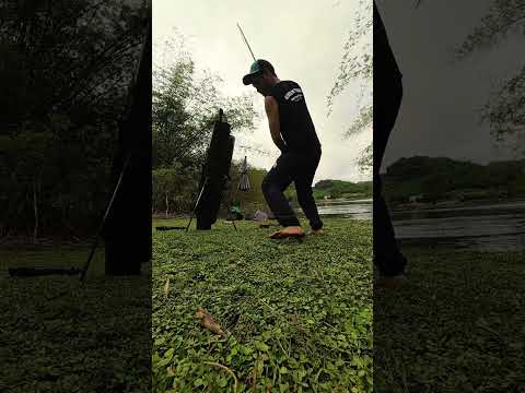 Nhịp phao trôi cán củ #caođàitổng #fishing #caucathugian