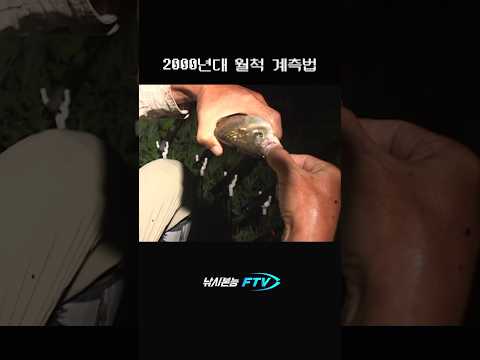 2000년대 <strong>월척</strong> 감별사. 자가 필요없네? #shorts