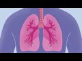 How COVID-19 Affects Your Blood